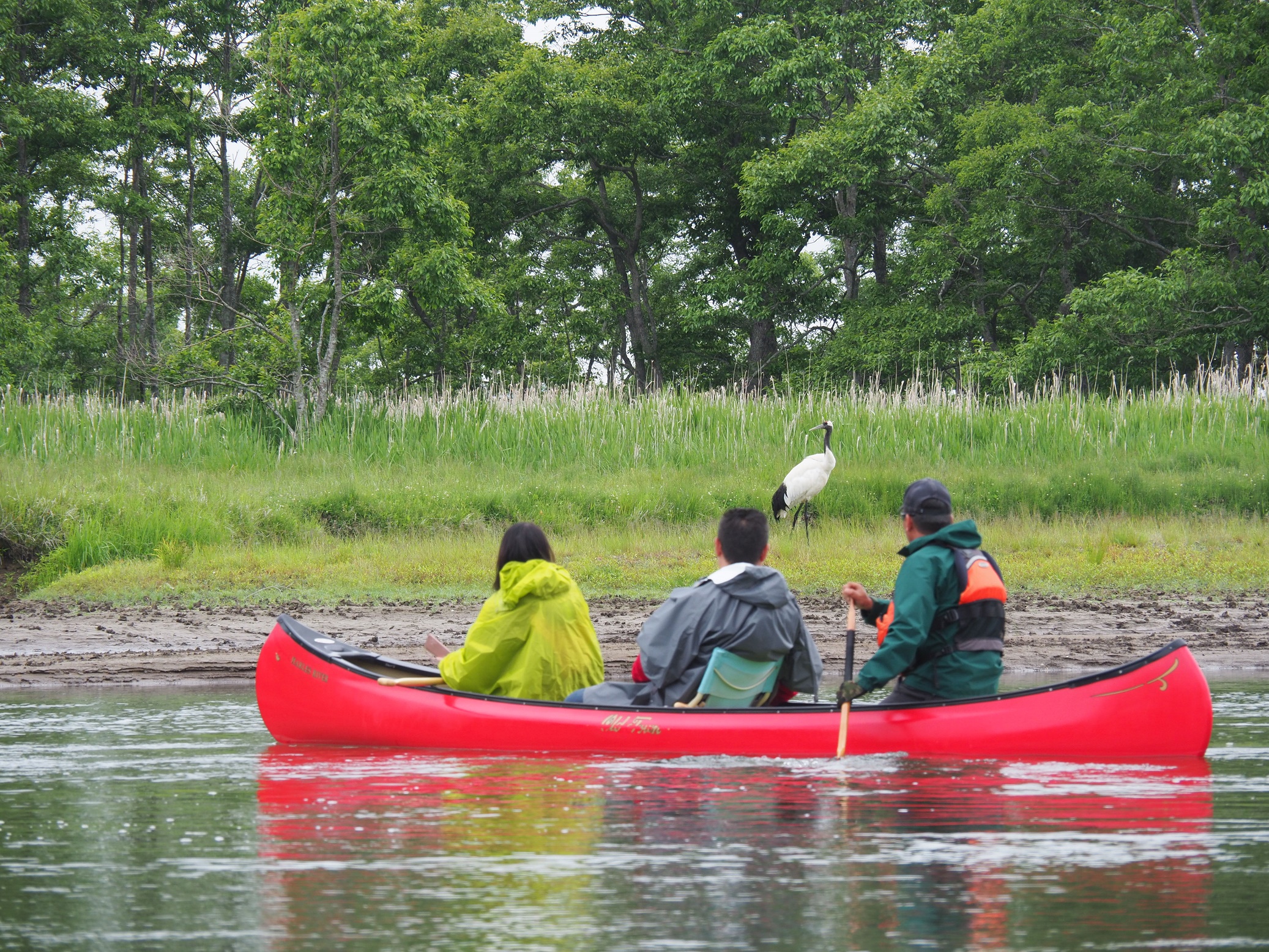 釧路川カヌーツーリング